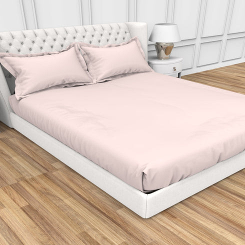 Alley Solid 100% Cotton 300 TC Fitted Sheet with 2 Pillow covers- Extra Soft - Easy Care- Hyperallergenic